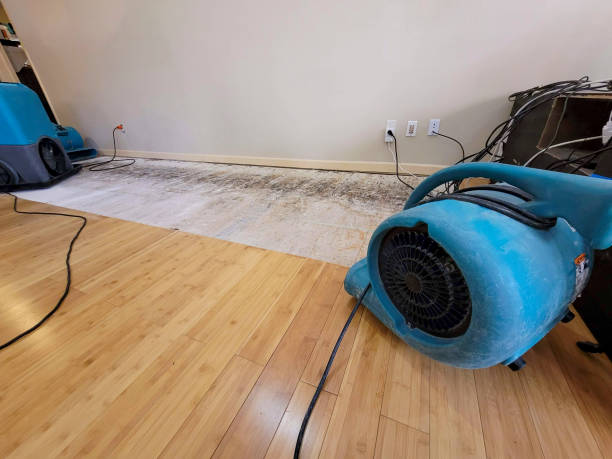 Professional Water Damage Repair technician working in Kings Mills, OH
